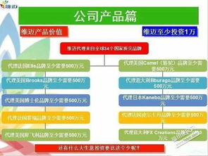 深耕日用品貿(mào)易 零售與批發(fā)進(jìn)口的戰(zhàn)略布局與市場機遇